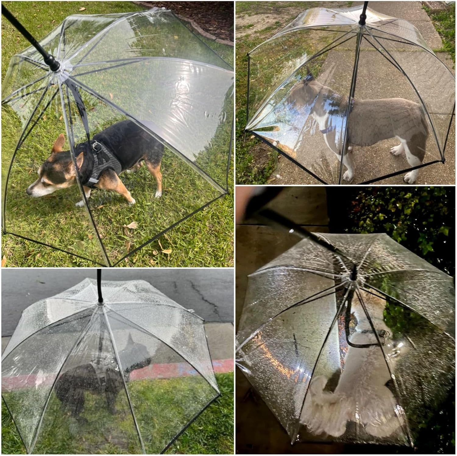 Clear Dog Umbrella with Adjustable Leash for Small Dogs - Waterproof Rain Protection for Outdoor Walks